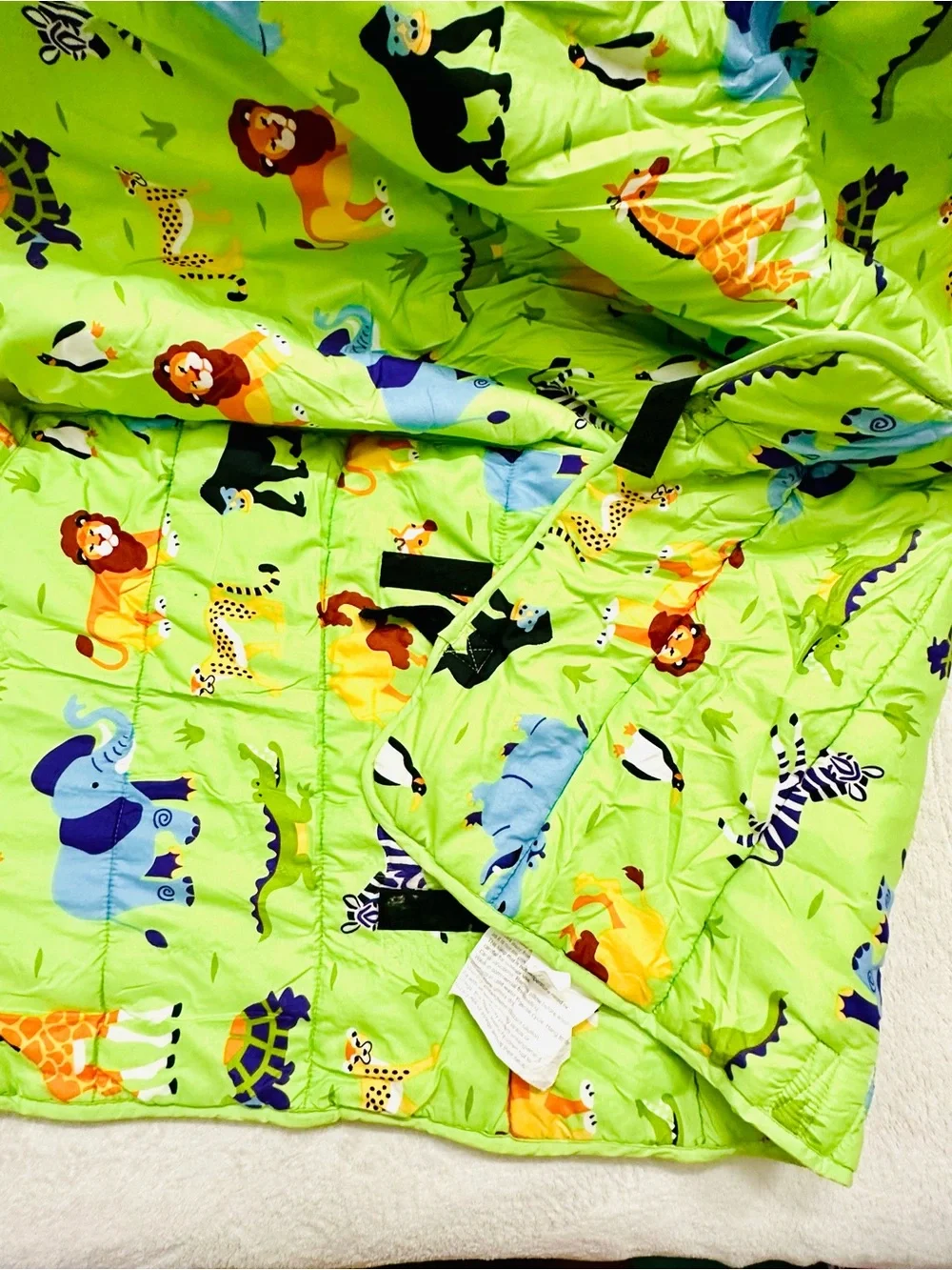 Wildkin Original Nap Mat with Pillow for Boys and Girls,Hook and Loop Fastener